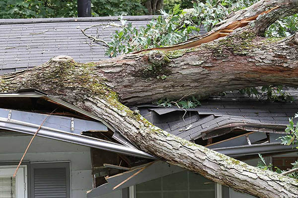 Damage on metal roof